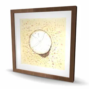 Begin Home Decor C1FM2424UB9V88 24 x 24 in. Sand-Dollar Coastal Beige Framed Matted Print Wall Art for Home Decor