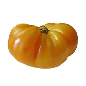 Pineapple Tomato Seeds
