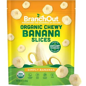 BranchOut Chewy Banana Slices, No Sugar Added, GentleDry Locks in Nutrition, Better than Freeze Dried Banana Chips, Healthy Vegan Snacks for Kids & Adults, 10 oz Party Bag