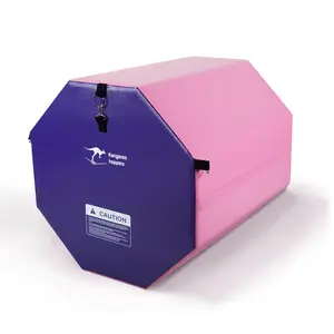 Gymnastics Octagon Tumbling Trainer Mat - Medium Size 24” X 26” Octagonal Design for Tumbling, Cartwheels, Back Handsprings & More