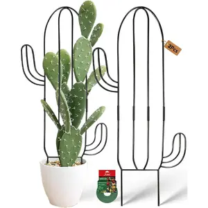 Trellis for Climbing  Indoor, Cactus Trellis for Potted , Pothos Hoya Monstera Metal Houseplant Climbing Support for Garden Balcony, 2P