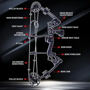 Adult Archery Compound Bow and Arrow Set Bow Fishing Combo kit Adjustable 30-65LBS Composite Bow Combination 19.5 "-30" Drawstring Length Hunting Equipment (Black)