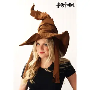 Harry Potter Costume Sorting Hat