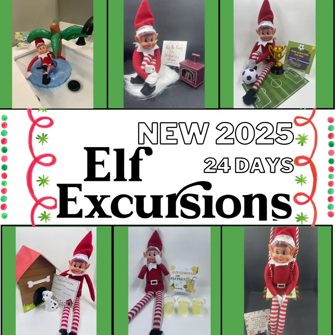 2025 CLEARANCE 24 Day Activities Elf Excursion Box Decor Christmas Magical Ornaments with Daily Adventure Cards & Photo Examples