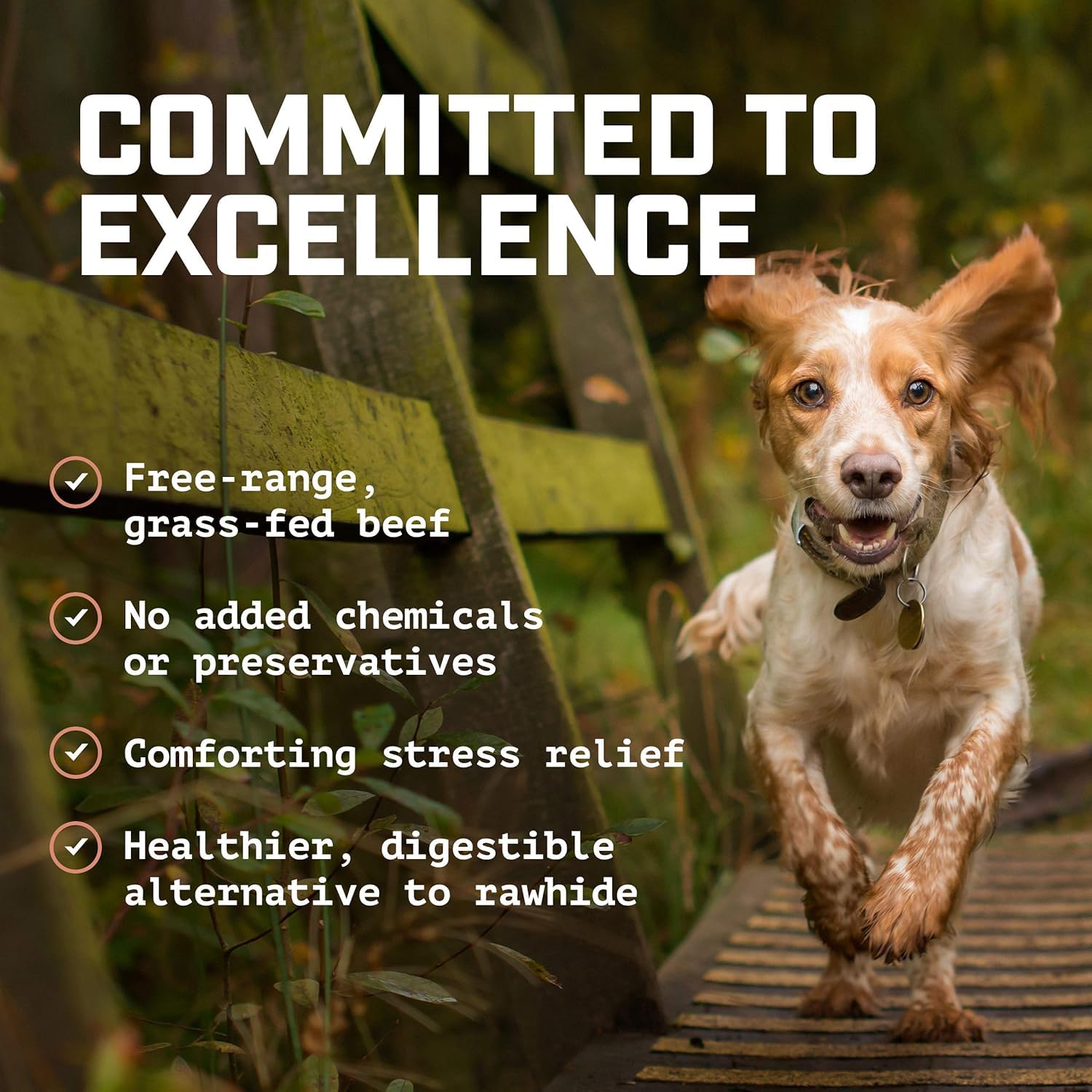 6-inch Bully Sticks (8oz./~9-11 Sticks) Healthy, All-Natural, Long-Lasting Dog Chew Bones - Low Odor - Mixed Thickness - Lab-Tested, Hand-Inspected and Packed with Love in The USA