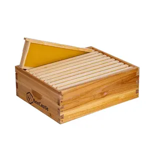 BeeCastle 10 Frame Medium Super Box Unassembled Cedar Wood Hive with Beeswax Foundation for Eco-Friendly Beekeeping 16-1/4" x 19-7/8" x 6-5/8"