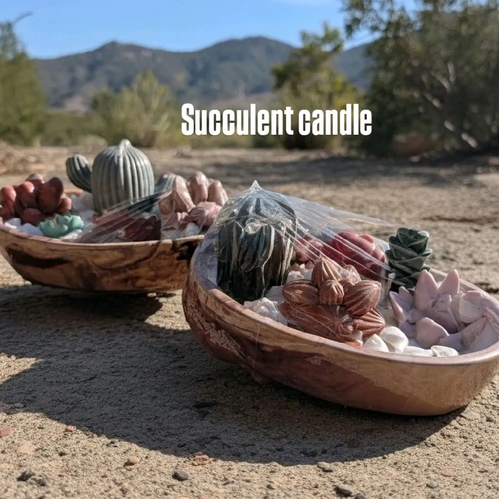 succulents candle