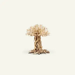 UNS Bonsai 007