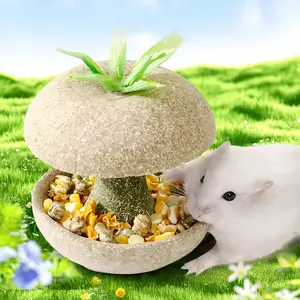 Hamster Guinea Pig Teething Bowl Suitable for hamsters, guinea pigs, chinchillas, small rodents,teething toys,Edible,peu toy,pet food,stuff