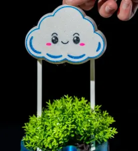 Rain Cloud Plant Waterer