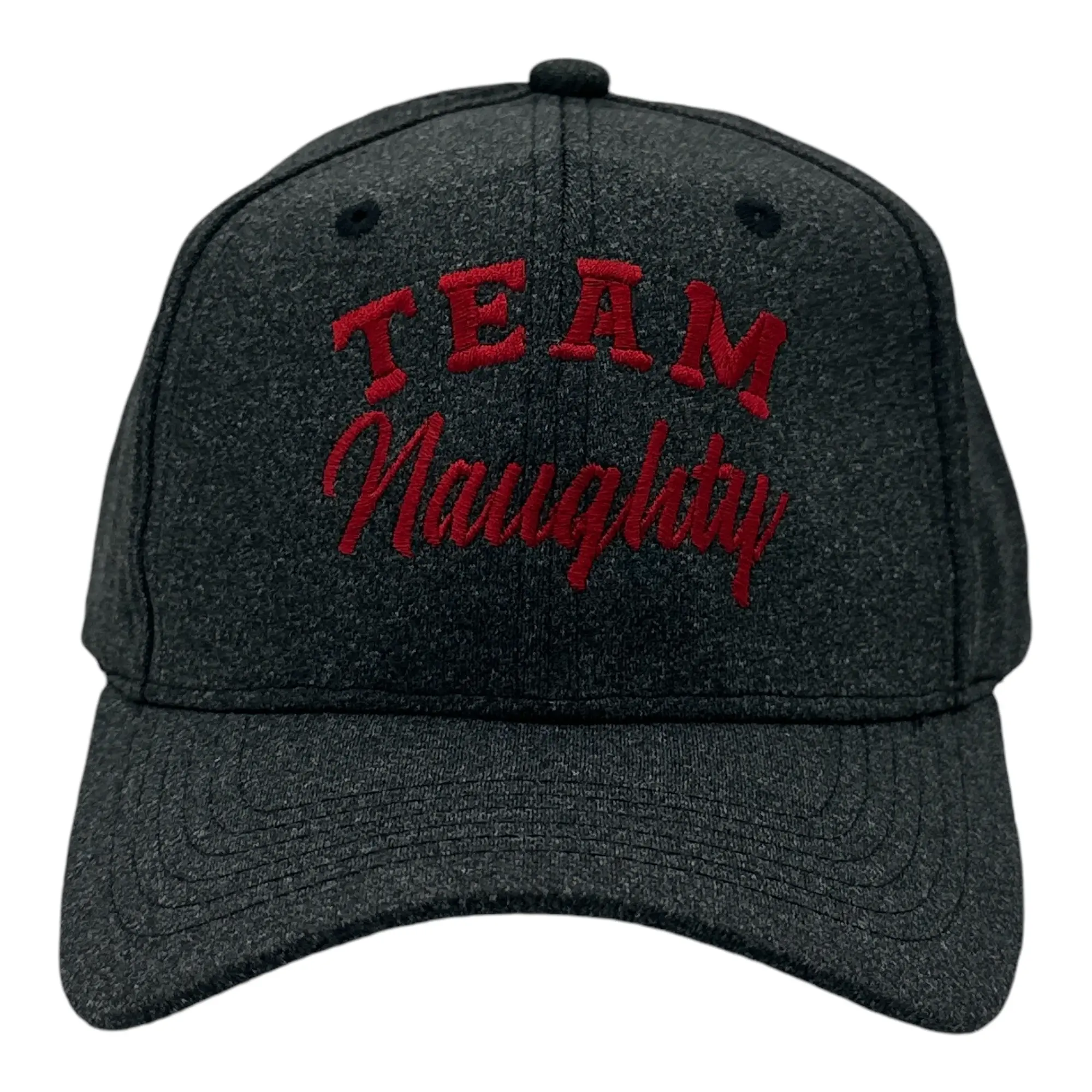 Team Naughty and Team Nice Hats Funny Sarcastic Christmas Novelty Caps Funny Hats Christmas  Funny Adult Humor  Novelty Caps for Men Standard