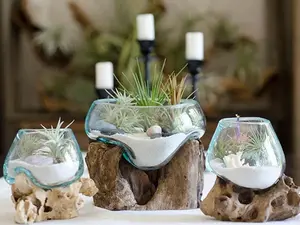 Root & Blown Glass Terrarium | Vase, Fish Bowl, Candle Holder, Serving Bowl.
