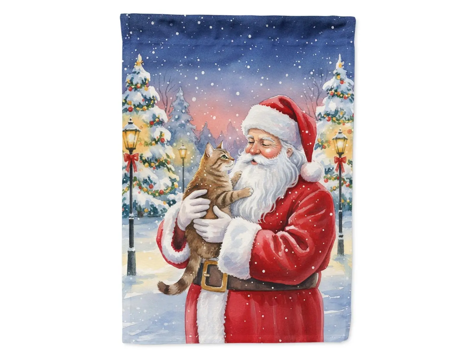 Carolines Treasures FNT1165CHF 40x28 in. Heavy Duty Polyester Vibrant Ticked Tabby Brown Cat & Santa Claus Christmas House Banner, Outdoor Festive Decor Artwork, Holiday Gift for Home/Garden Supplies, Gardens