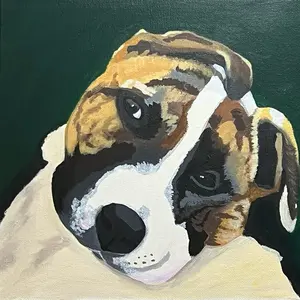Pet Commissions