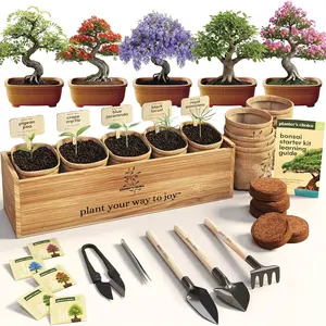 Planter's Choice Bonsai Tree Starter Kit - Unique Gifts for Women, Men - Christmas Gifts for Adults - Indoor Live House Plants - DIY Crafts for Adults Craft Kits - Hobby Gift for Gardening Lovers