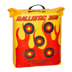 Ballistic 350 Archery Bag Target