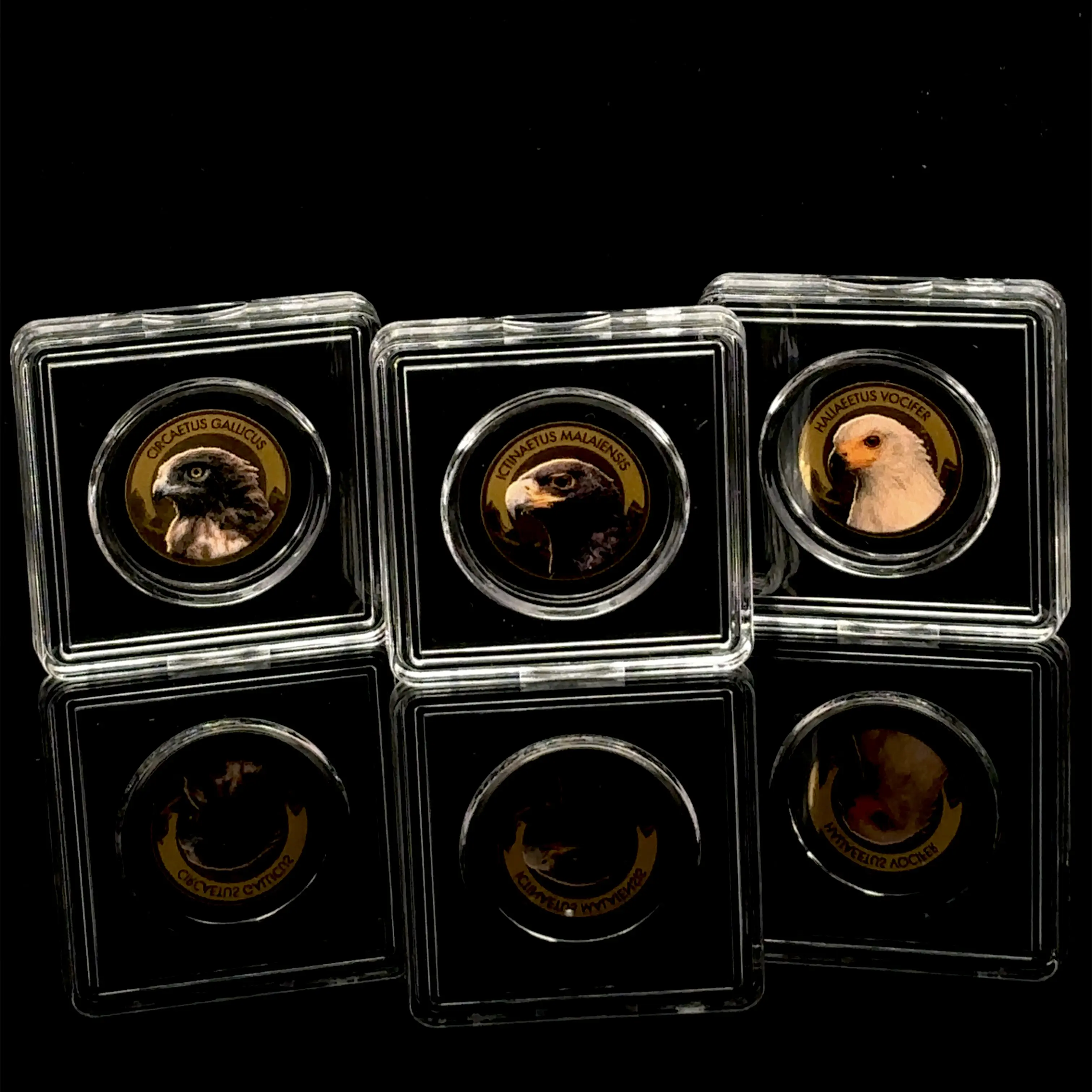 Republic of Chad Birds of Prey 999 Gold Mini Coin Set