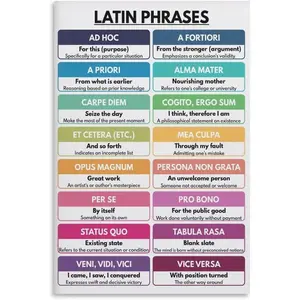 WBCNG LATIN PHRASES POSTER, Vocabulary, Boho Color Scheme, Chart for Homeschool, English Classroom Canvas Poster Bedroom Decor Sports Landscape Office Room Decor Gift Unframe-style 12x18inch(30x45cm)