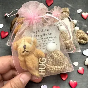 Five-Piece Mini Plush Bear Gift Bag Set, Includes Encouragement Cards, Cute and Teddy Bears in Transparent Mesh Bag