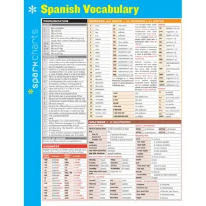 Spanish Vocabulary SparkCharts