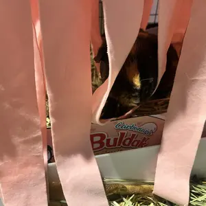 Guinea pig hideout Guinea pig corner hideout, removable soft comfortable hamster hideout hammock cage decoration, guinea pig bed hedgehog beds small animal hideout for rabbits, hedgehogs, squirrels, and other small animals, Hamster Cage Habitat