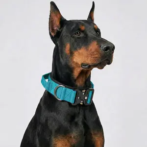 Vibrant Cyan Tactical Dog Collar with Handle - Heavy Duty Anti Pull K9 Training Gear with Quick Release Metal Buckle for Large Dogs, Doberman Pinscher, German Shepherd - Thick Padded Collar