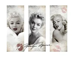 Marilyn Monroe Design 20oz Stainless Steel Tumbler with Lid, Straw & Rubber Bottom - Includes Lid, Straw & Rubber Bottom - Bottle, Drinkware
