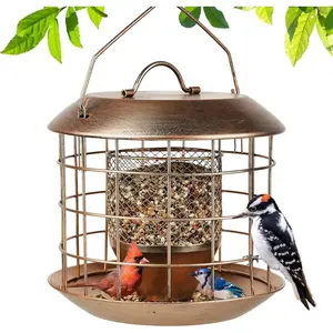 3 lb. Squirrel Proof Metal Cage Bird Feeder