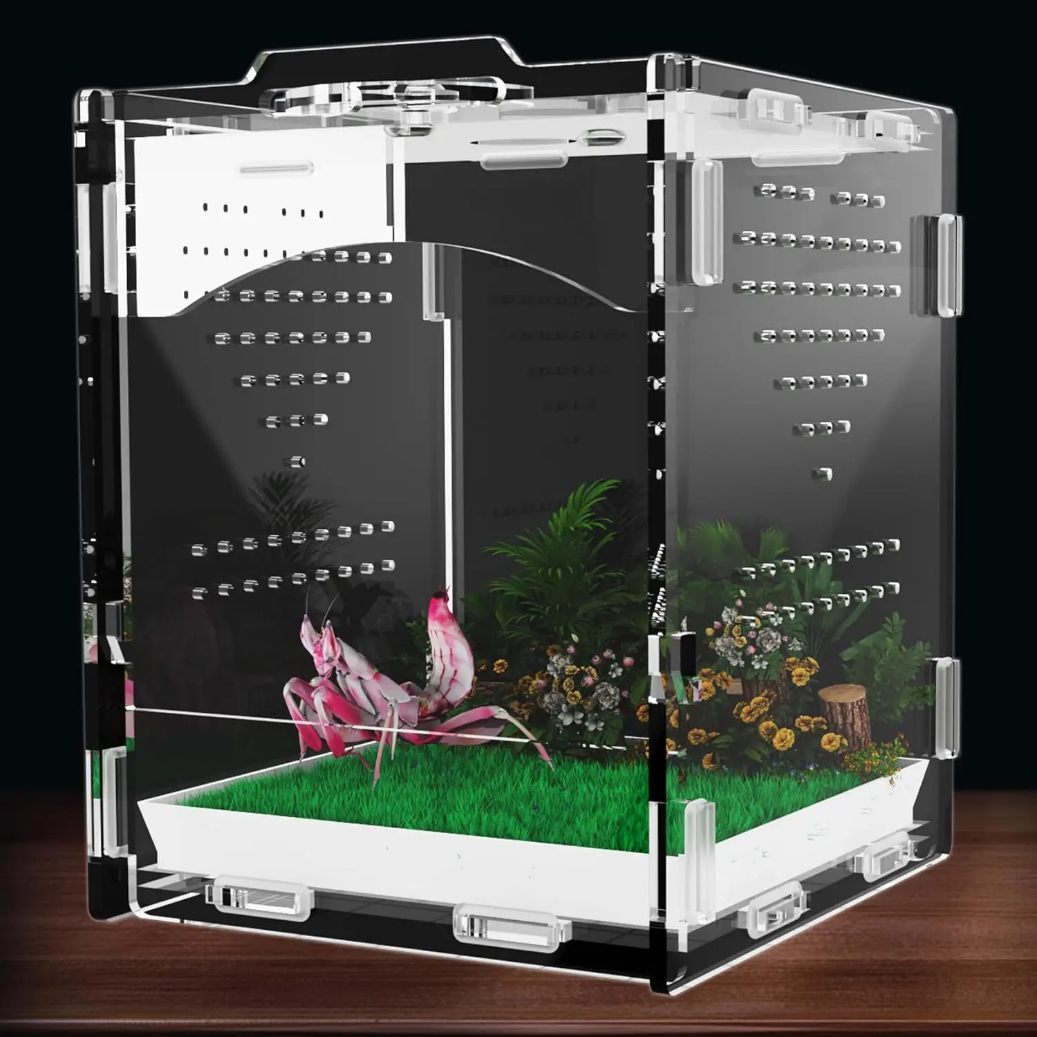 Spider Enclosure, Insect Terrarium, Praying Mantis Habitat, Bug Enclosure, Arboreal Tarantula Enclosure Kit, Reptile Cage, Scorpion Lizard Tank (. * . * .in