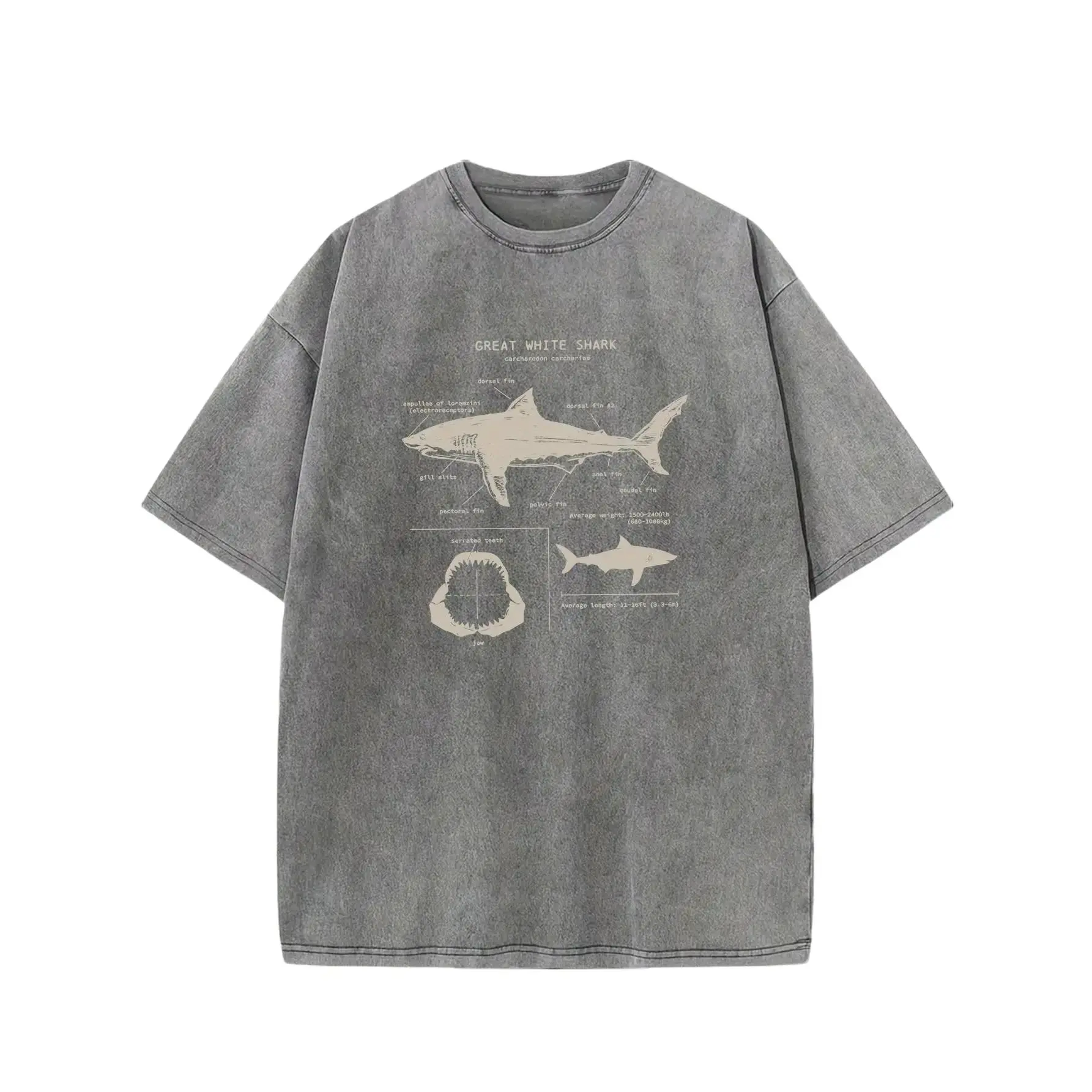 Great White Shark Print Vintage Acid Washed T-Shirt For Men, Suitable For Summer Streetwear Crewneck graphic tee