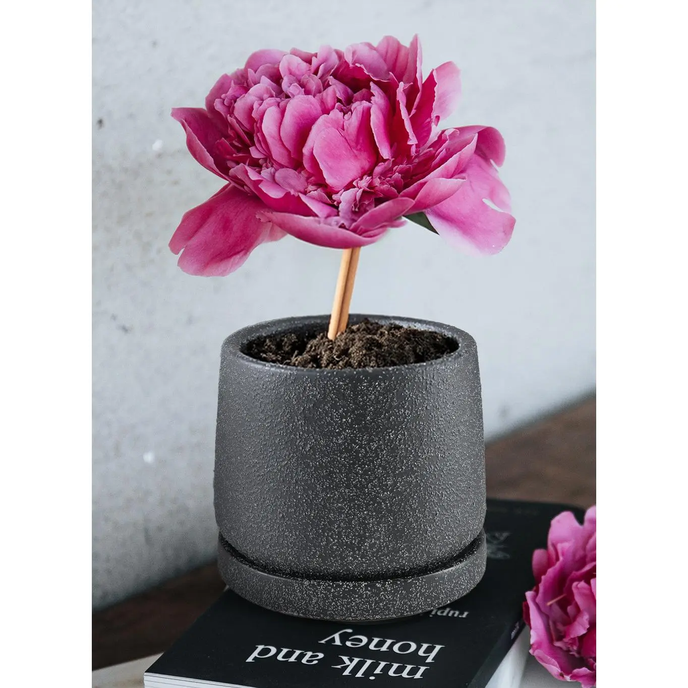 Kuro Textured Black Ceramic Planter with Saucer Collection