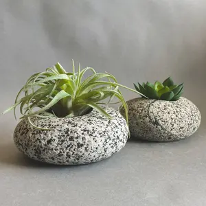 Handcrafted Stone Succulent Planter – Natural Granite Plant Pot with 2-Inch Opening – Rustic Indoor Stone Vase with Care Instructions – Handmade Decorative Planter