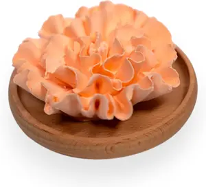 SINT Aroma Diffuser Diatomite Carnation Flower