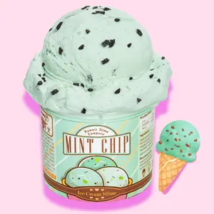Mint Chip Ice Cream Slime | Kawaii Pint Slime – OVERRATED