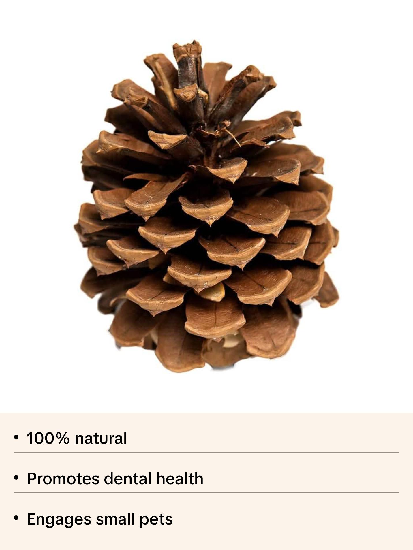 Totally Natural Pinecone