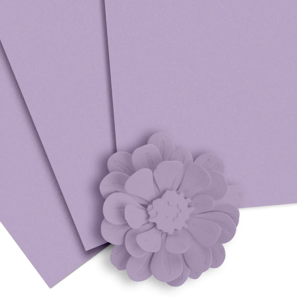 Crafty Necessities: Lavender Fields Cardstock (10 sheets/set)