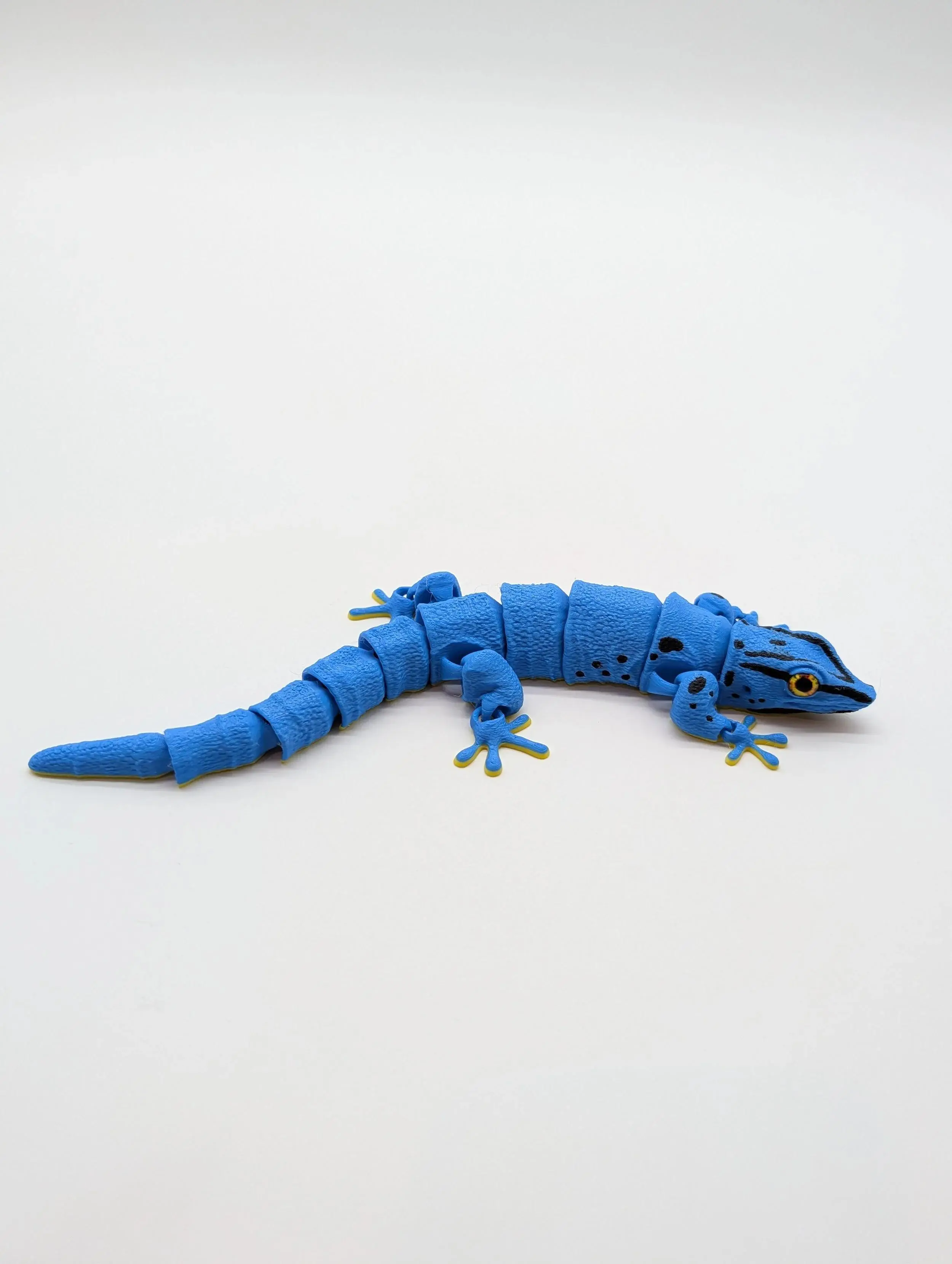 Giant Day Gecko Blue