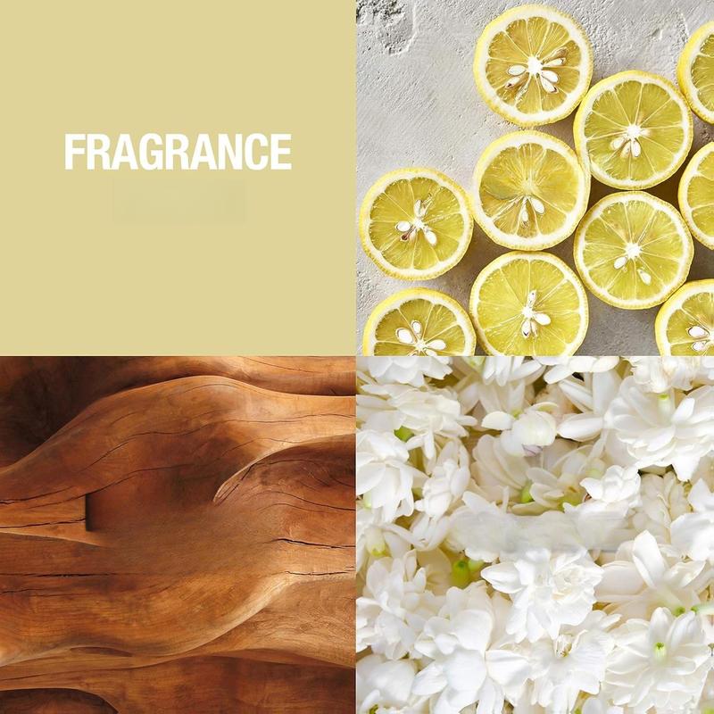 Alfred Sung Women's Perfume, Sung Eau De Toilette EDT Spray, Gift for Her, 3.4 Fl Oz