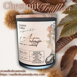 CHESTNUT TRUFFLES | Natural Luxurious Coconut Apricot Wax Candle With Pure Fragrance & Essential Oils Aroma Decor