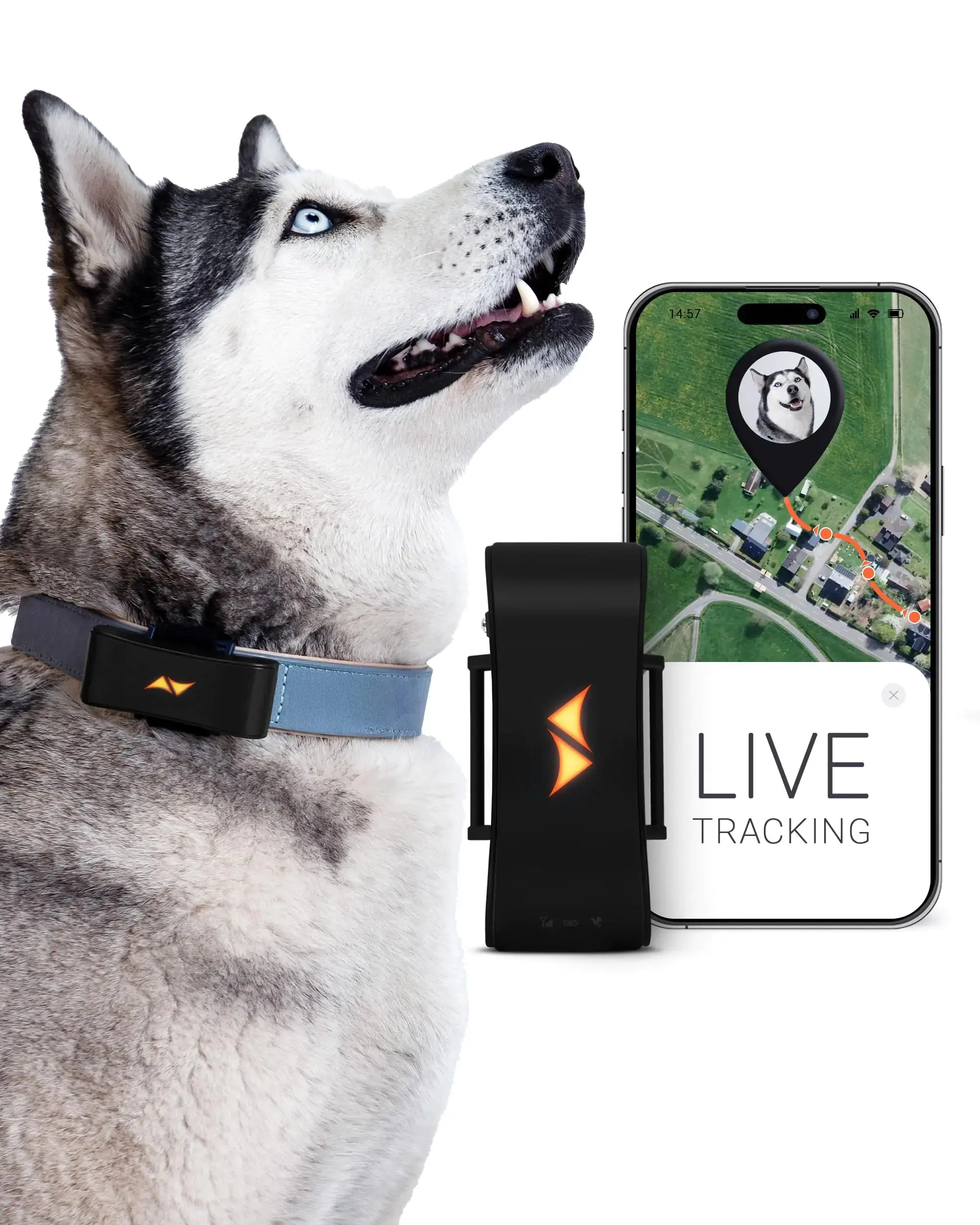 PAJ GPS Tracker for Dogs - Runaway Alarms + Worldwide Live Tracking