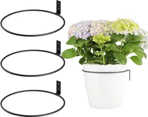 Home Decor Flower Plant Holder Ring, Wall Mounted,4 Inch Plant Wall Hanger Rings, Metal Plant Holders Wall Planter Hook 3 Pack-Black