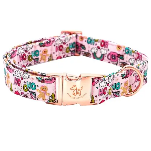 Rainbow Gingerbread Man