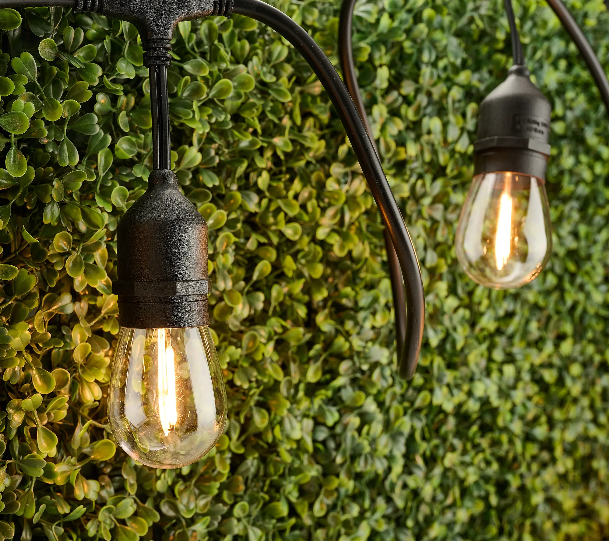 Tommy Bahama 24' Plug-In Edison Bulb String Lights Tommy Bahama 24' Plug-In Edison Bulb String Lights