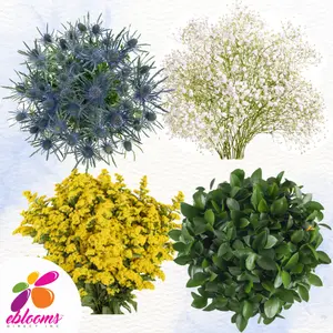 DIY Filler & Greenery Combo Box #3 - Babys Breath, Eryngium, Solidago & Ruscus -Pk 120 Stems