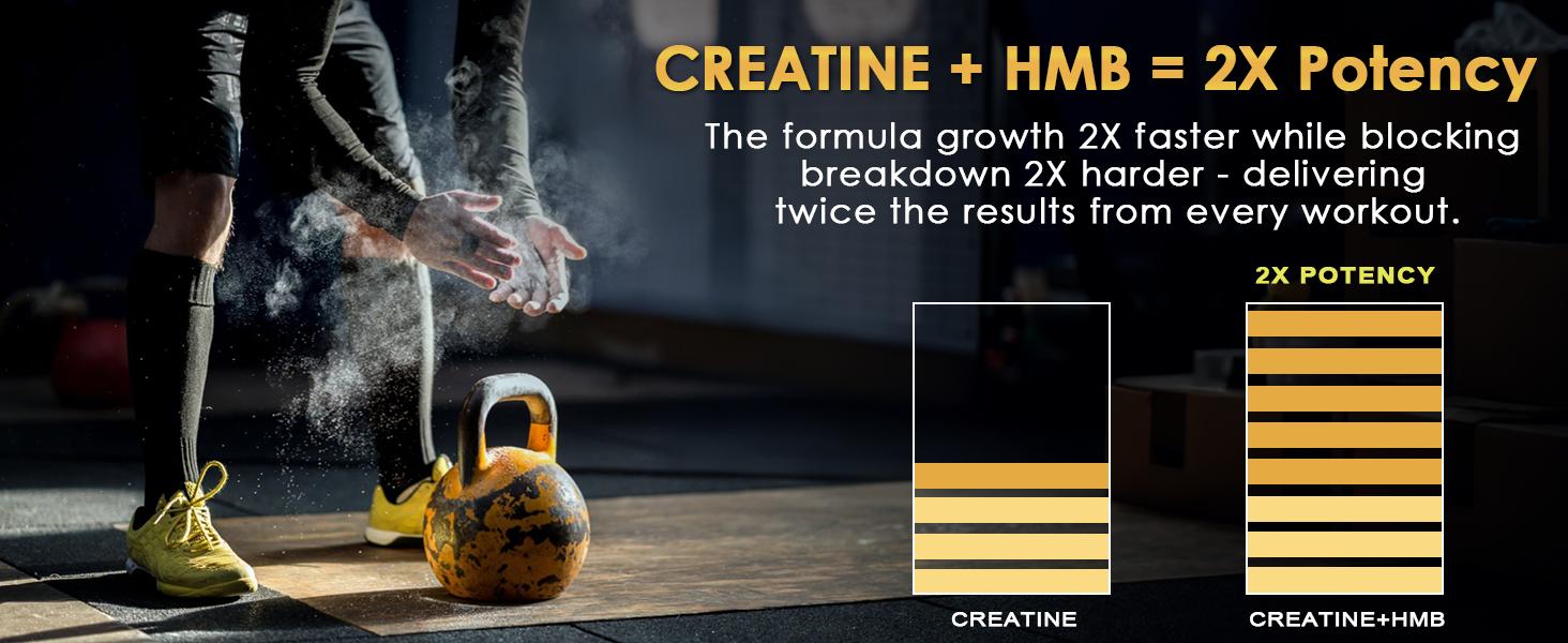 Micronized Creatine Monohydrate for Women and Men, Creatine Powder for Men-Women for Improve Performance and Strength, Support Muscle Growth and Workout Recovery, 6.5g per Servings, 75 Servings