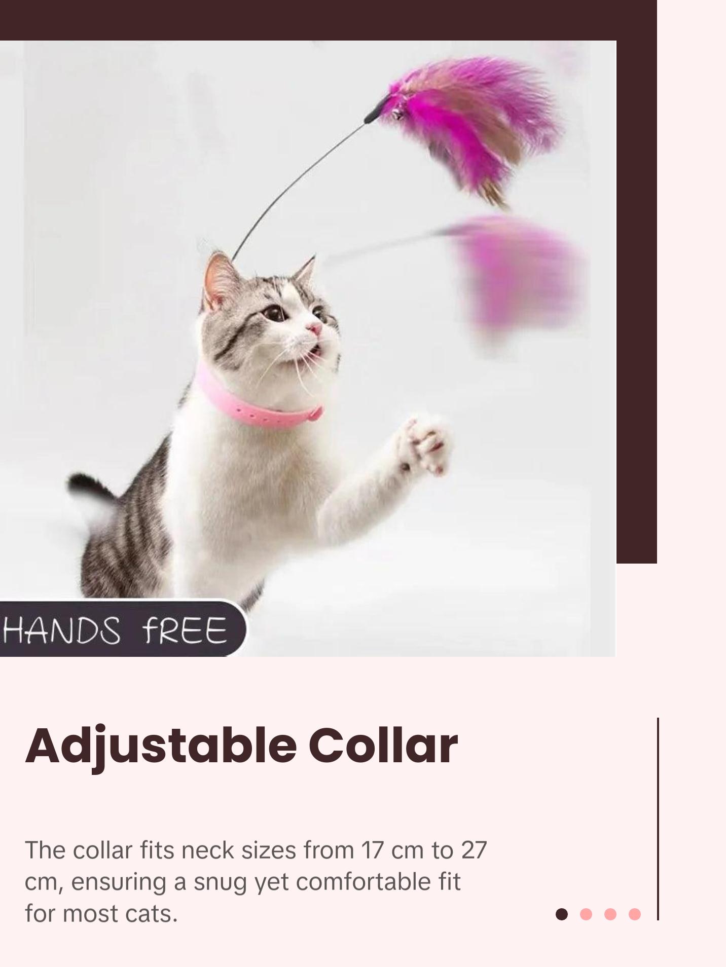 Feather Teaser Wand with Bell & Collar