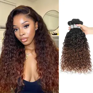 ALHER 12A #T1B/2/30 Ombre Human Hair 1/3 Bundles Water Wave, Soft Thick Chestnut Brown Ombre Curly Bundles Wet and Wavy 100% Virgin Remy Human Hair for Black Women