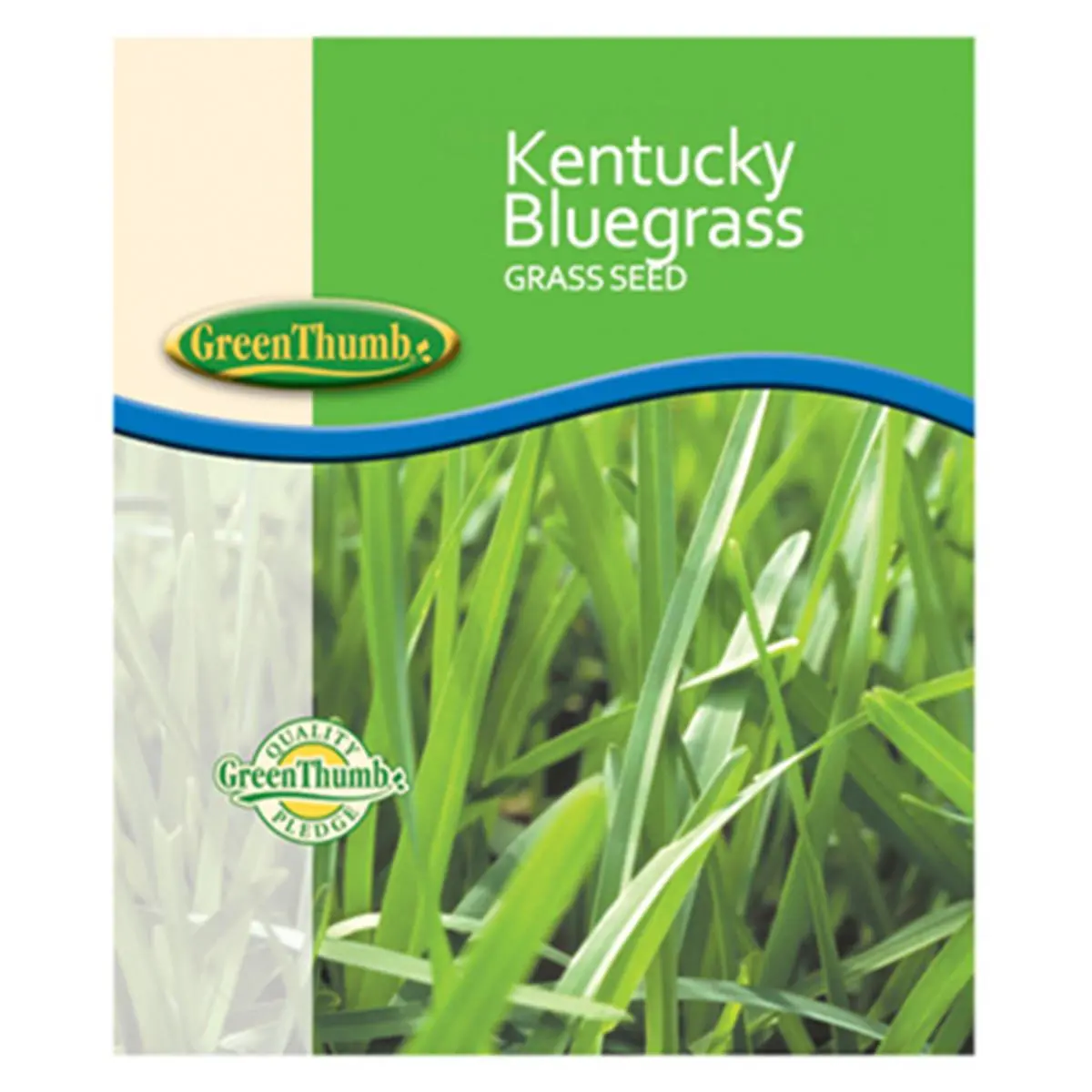 Barenbrug Kentucky Bluegrass Seed, 50 lbs, Premium Lawn Seed for Green Thumb Gardeners, Gardening