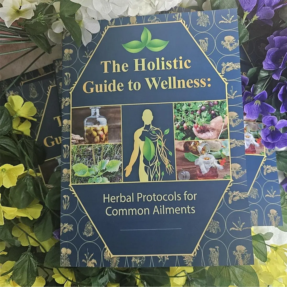 【English】Herbal Medicine Guidebook