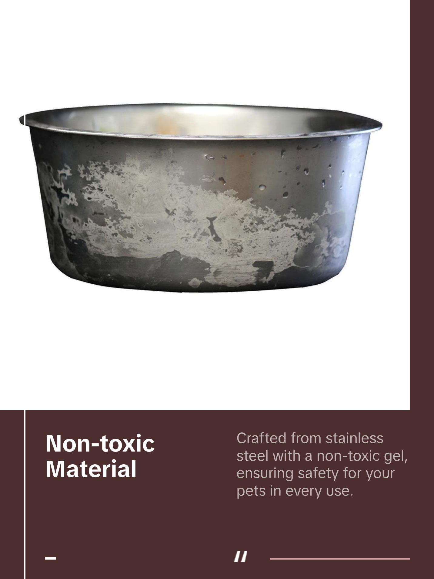 NEATER PETS Polar Bowl Freezer Bowl for Pets, Freezable Pet Bowl, Keep Your Dog or Cats Water Cold